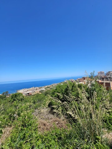 Vente Terrain El Tarf El kala 5