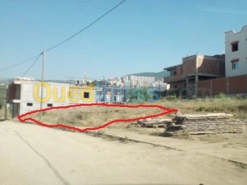 Vente Terrain Blida Bouinan 4
