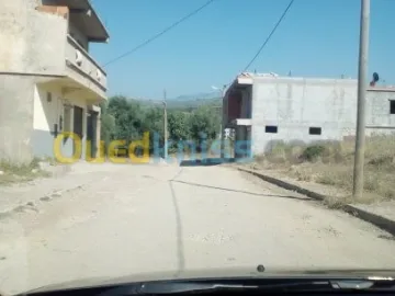 Vente Terrain Blida Bouinan 5