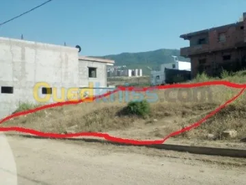 Vente Terrain Blida Bouinan 6