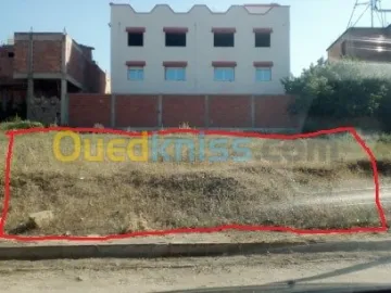 Vente Terrain Blida Bouinan 7