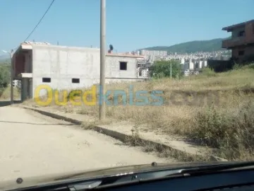 Vente Terrain Blida Bouinan 3