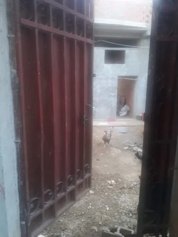 Vente Carcasse Blida Meftah 56