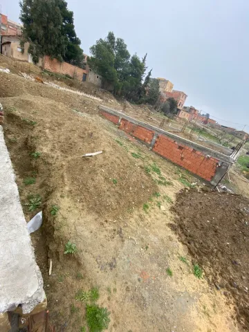 Vente Terrain Médéa Berrouaghia 4