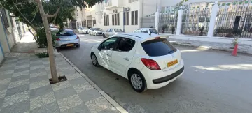 Peugeot 207 2012 8