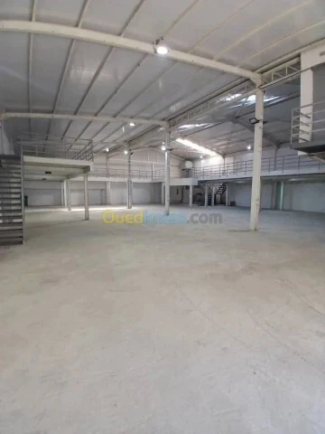 Location Hangar Alger Dely brahim 2