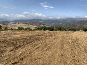 Vente Terrain Médéa Medea 3