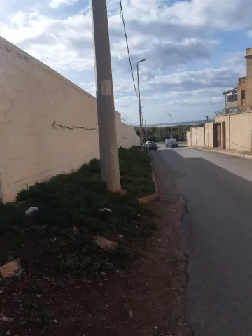Vente Terrain Alger Zeralda 5