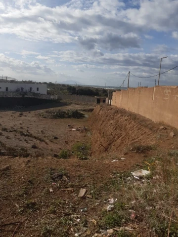 Vente Terrain Alger Zeralda 10