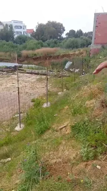 Vente Terrain Boumerdès Tidjelabine