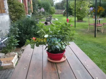 Jardinier Paysagiste 3
