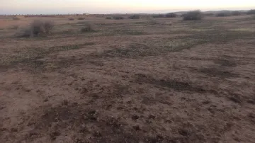 Vente Terrain Agricole Djelfa Ain oussara 14
