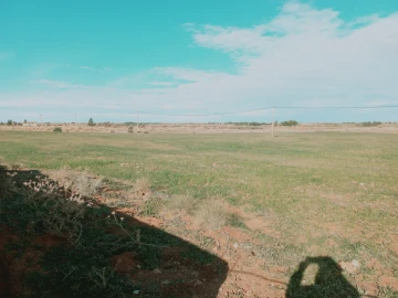Vente Terrain Agricole Djelfa Djelfa 7