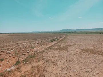 Vente Terrain Agricole Djelfa Bouira lahdab 2