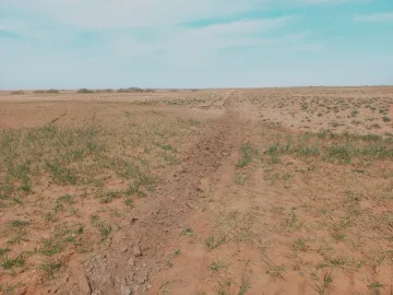 Vente Terrain Agricole Djelfa Birine 13