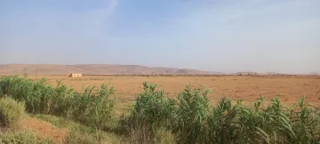 Vente Terrain Agricole Djelfa Ain oussara 27