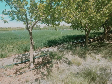 Vente Terrain Agricole Djelfa Djelfa 20