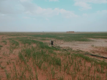 Vente Terrain Agricole Djelfa Hassi bahbah 7