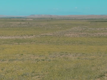 Vente Terrain Agricole Djelfa Djelfa 9