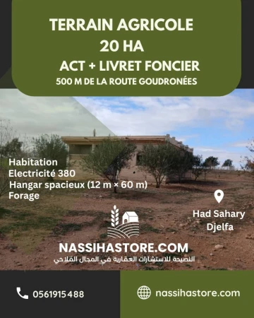 Vente Terrain Agricole Djelfa Had sahary 4
