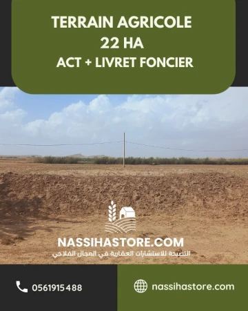 Vente Terrain Agricole Djelfa Mouadjebar 11