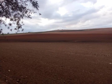 Vente Terrain Agricole Tiaret Tiaret 8