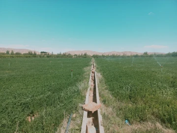 Vente Terrain Agricole Djelfa Djelfa 14