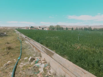 Vente Terrain Agricole Djelfa Djelfa 13