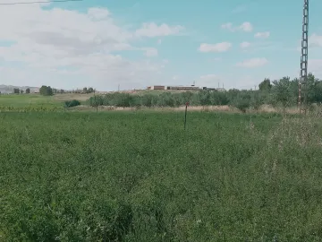 Vente Terrain Agricole Djelfa Djelfa 9