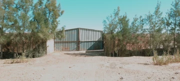 Vente Terrain Agricole Djelfa Hassi bahbah 52
