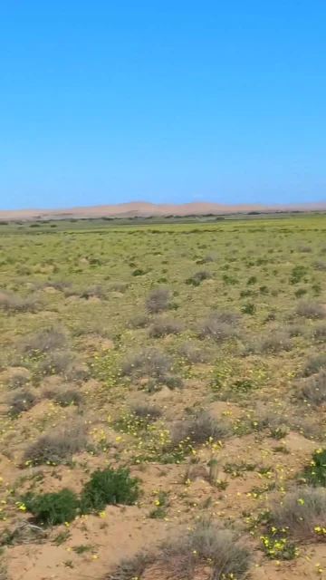 Vente Terrain Agricole Djelfa Djelfa 3