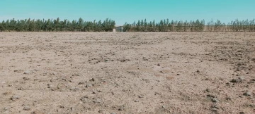 Vente Terrain Agricole Djelfa Hassi bahbah 43
