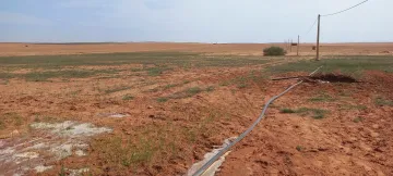 Vente Terrain Agricole Djelfa Djelfa 6