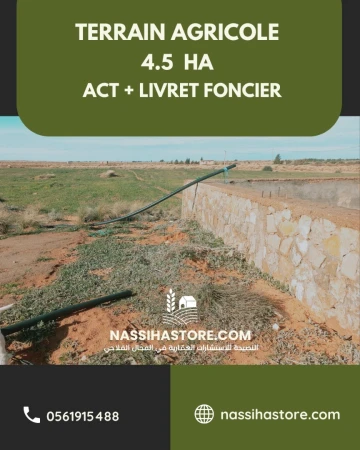 Vente Terrain Agricole Djelfa Djelfa 4