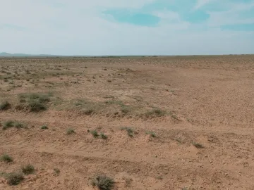 Vente Terrain Agricole Djelfa Birine 11