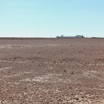 Vente Terrain Agricole Djelfa Ain oussara 5