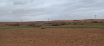 Vente Terrain Agricole Djelfa Ain oussara 16