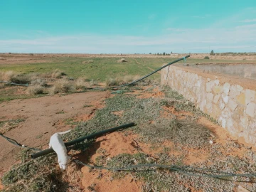 Vente Terrain Agricole Djelfa Djelfa