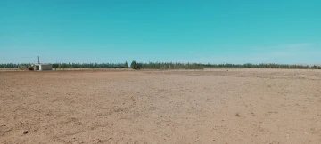 Vente Terrain Agricole Djelfa Hassi bahbah 45
