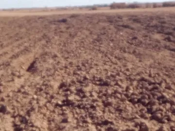 Vente Terrain Agricole Djelfa Ain oussara 10