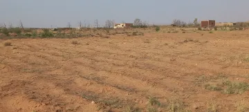 Vente Terrain Agricole Djelfa Ain oussara 5