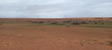Vente Terrain Agricole Djelfa Ain oussara 32