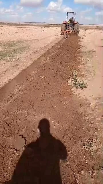 Vente Terrain Agricole Djelfa Had sahary 13