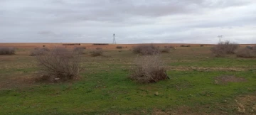 Vente Terrain Agricole Djelfa Ain oussara 17