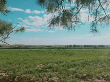 Vente Terrain Agricole Djelfa Djelfa 2