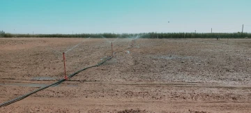 Vente Terrain Agricole Djelfa Hassi bahbah 57