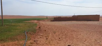 Vente Terrain Agricole Djelfa Djelfa 5