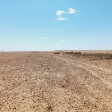 Vente Terrain Agricole Djelfa Birine 12
