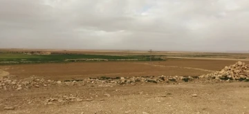 Vente Terrain Agricole Tiaret Tiaret 2