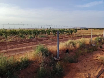 Vente Terrain Agricole Djelfa Hassi bahbah 9